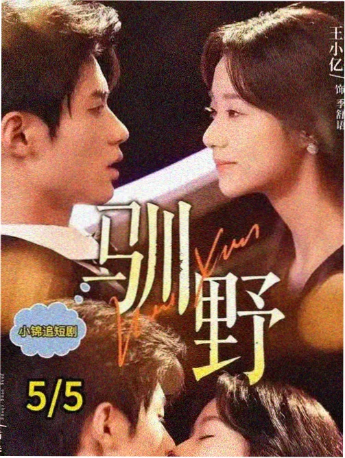 群像史诗剧集条目蓝图缩略图